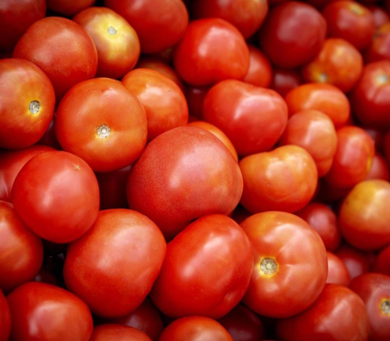 close-up-of-red-tomatoes-free-photo